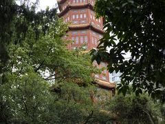 -房湖公园