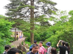 -黄山北海宾馆