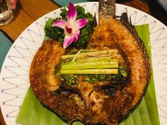 -紫滇源云南生态菜(丹凤街店)