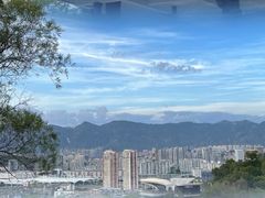 -金鸡山公园