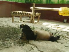 -杭州野生动物世界