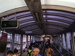 -中环半山扶手电梯