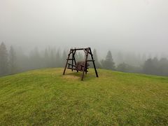 -神户市立六甲山牧场