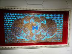 -上海昆虫博物馆