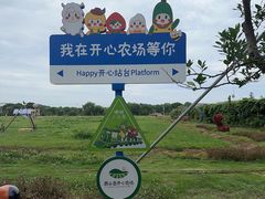 -苏州太湖西山岛开心农场