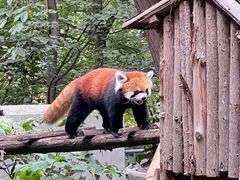 -昆明动物园