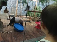 -深圳野生动物园