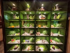 -慢丽江·云南野生菌土鸡锅(西山店)