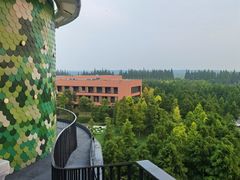 -黄海国家森林公园