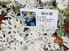 -深圳大学(丽湖校区)