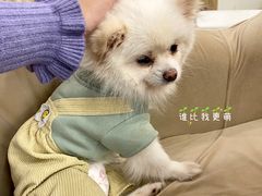 -怪兽屋·羊驼·猫咖·狗咖(俊华广场店)