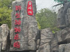 -青峰峡国家森林公园