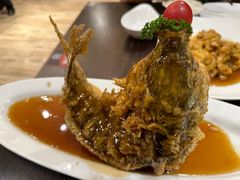 糖醋鲤鱼-老牌坊鲁菜名店(宽厚里店)
