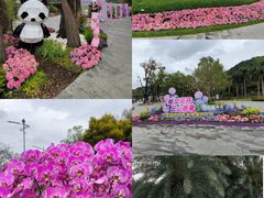 -云溪植物园