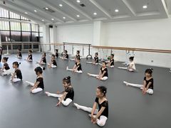 -西安小天鹅艺术团(曲江Alice店)