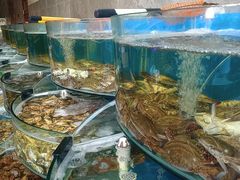 水产区-蓝珊甄选海鲜自助·火锅大排档(近阿那亚店)