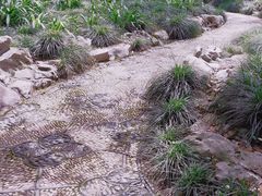 -静安公园(静安寺街道)