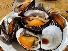 毛蚶-海岛渔村大酒店(云霄路店)