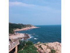 -广东惠东海龟国家级自然保护区
