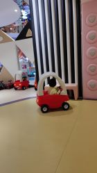 -meland club亲子乐园(重庆万象城店)