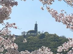 -苏州上方山国家森林公园
