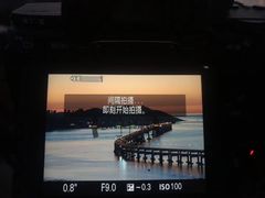 -星海湾跨海大桥