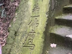 -大金鹰园