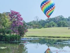 -中国科学院西双版纳热带植物园