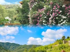 -九如山休闲旅游度假区