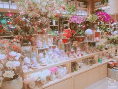 -G·SPACE(金鹰世界店)