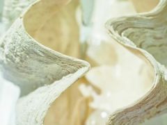 -青岛贝壳博物馆