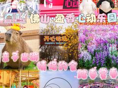 -盈香心动乐园