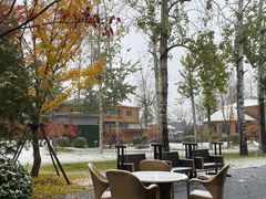 -禧宴Joyous Restaurant(禧园店)