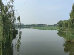 -大兴滨河森林公园