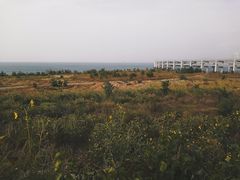 -星海湾跨海大桥