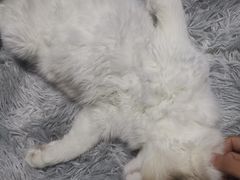 -零纪元VR体验馆·桌游(黄浦店)