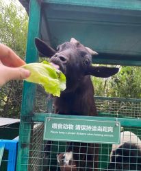 -可可天空农场(中大店)