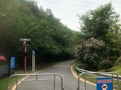 -小南山公园