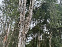 -福建鲤鱼洲酒店