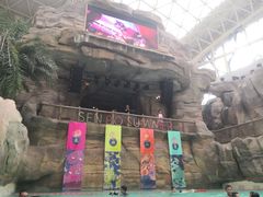 -杭州开元森泊度假乐园