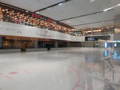 -TheRink大零溜冰场(IFS国金中心店)