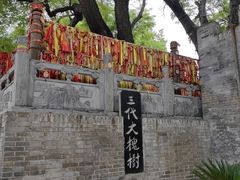-大槐树寻根祭祖园