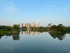 -九里河湿地公园