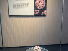 -鸿山遗址博物馆