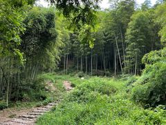 -白水冲瀑布