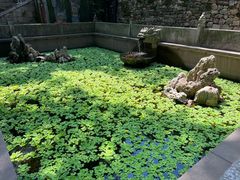 -宁波市保国寺古建筑博物馆