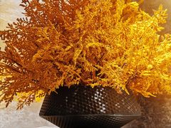 -yokocho上横町·日本食街(深业上城店)