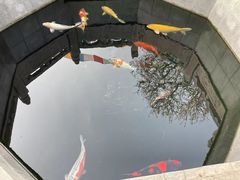 -西安市广仁寺