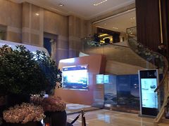 -长沙芙蓉国温德姆至尊豪廷大酒店 - 自助餐厅