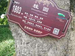 -张坝桂圆林公园